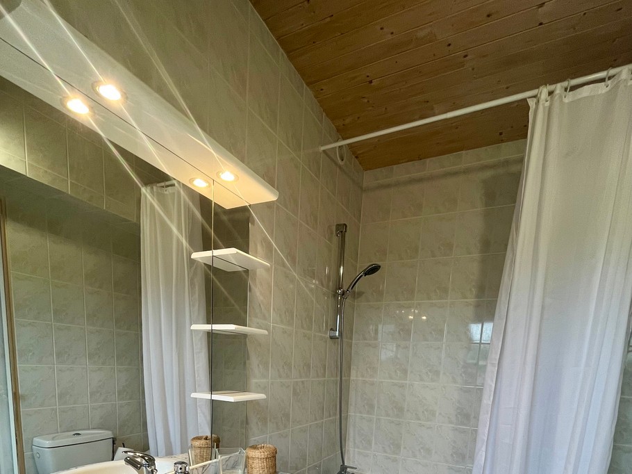 Salle de bain avec douche et WC