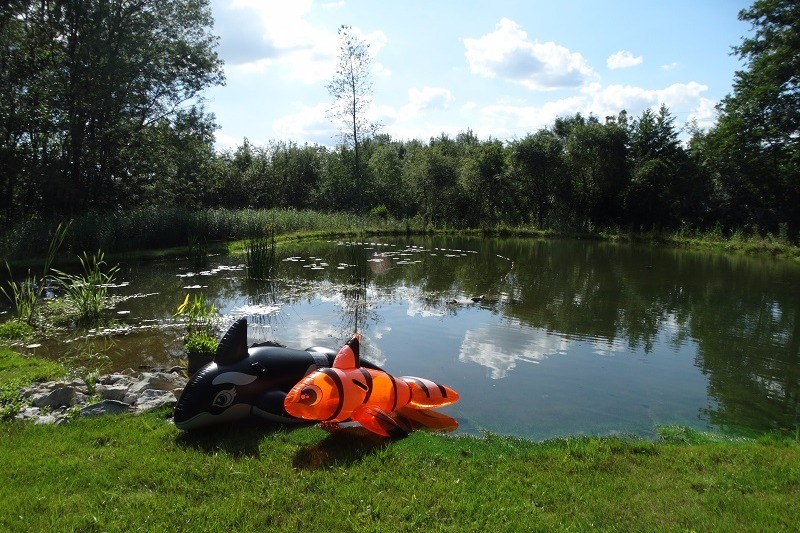 Photo n° 18 de la location