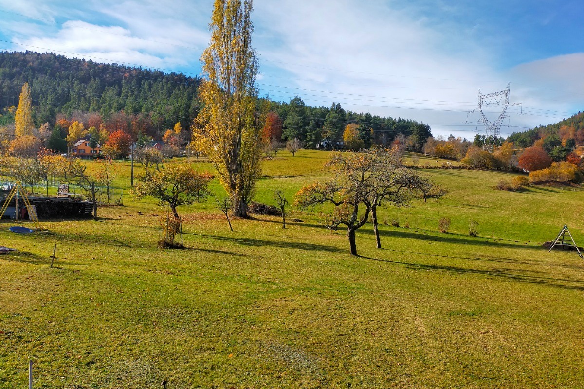 grand terrain arboré