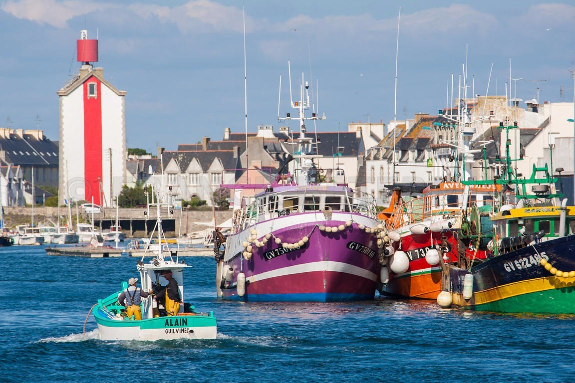 Retour des bateaux de pêche au port du Guilvinec