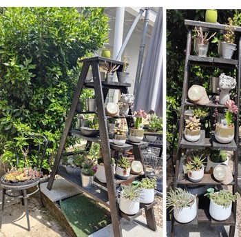 Domaine du Mélèze - Appartement - Jardin commun