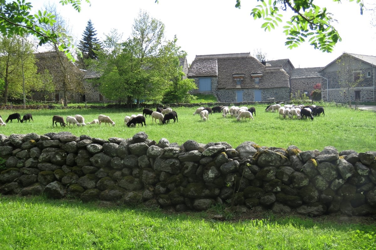 Le village de chaumières Moudeyres