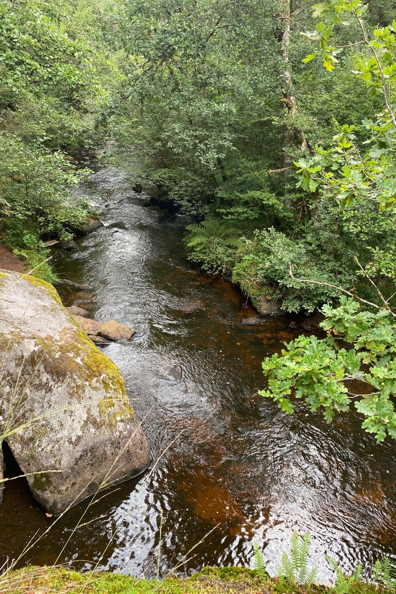 LA RIGOLE DU DIABLE / ROYERE DE VASSIVIERE