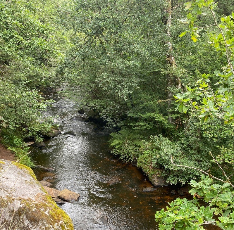 LA RIGOLE DU DIABLE / ROYERE DE VASSIVIERE