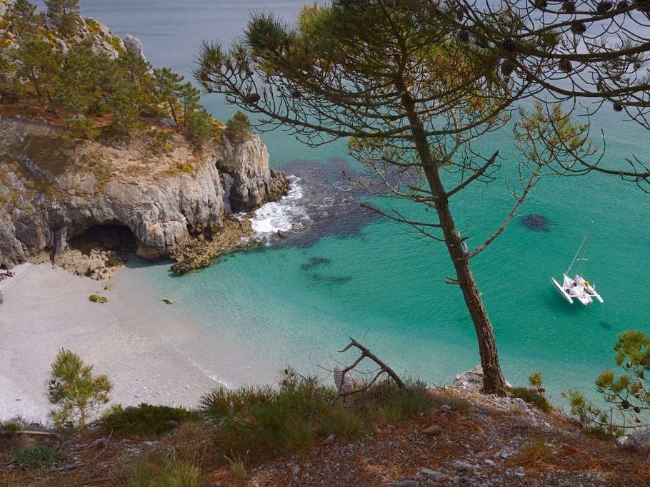 L'île vierge en presque-île