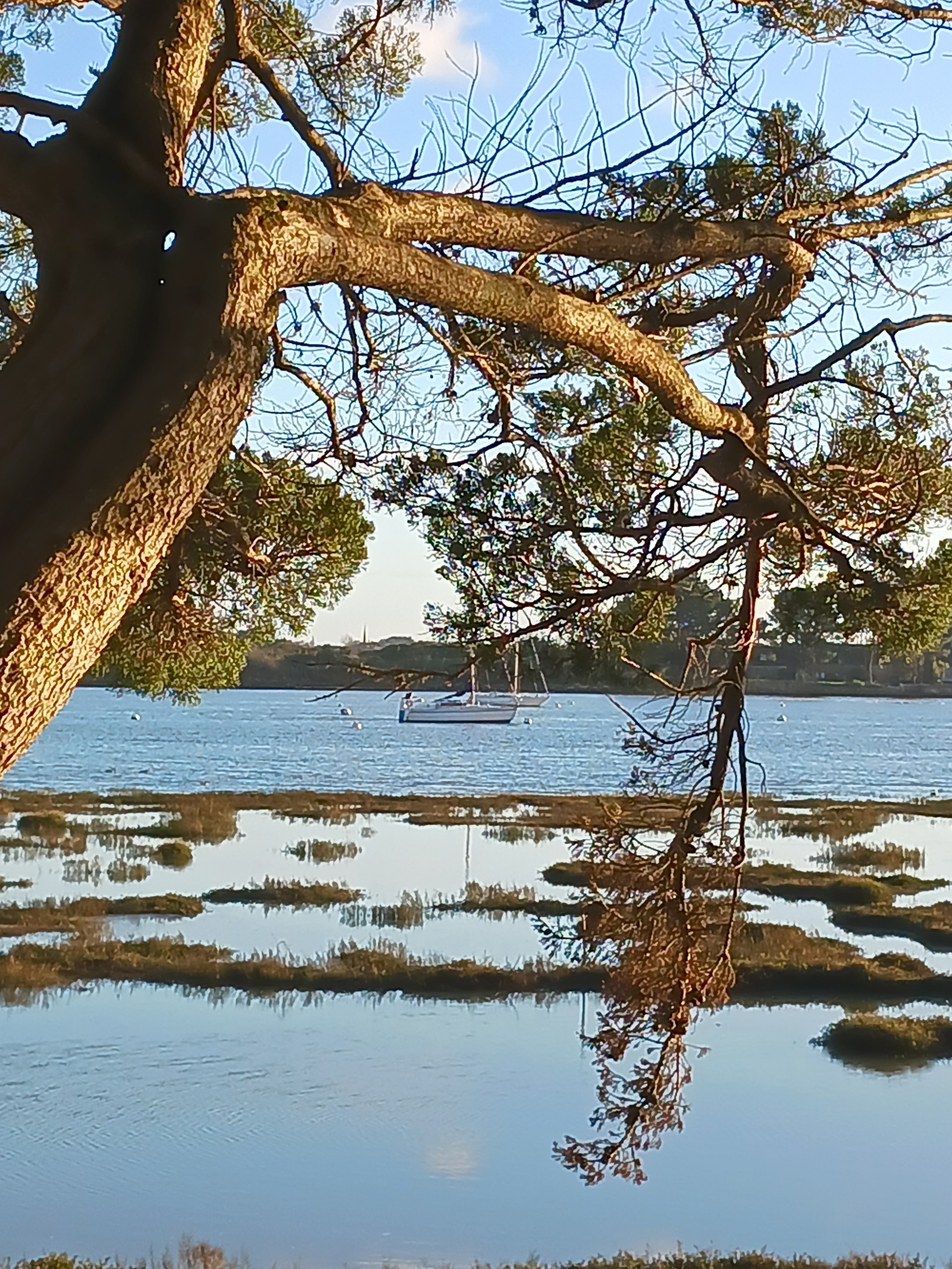 Morbihan Gulf