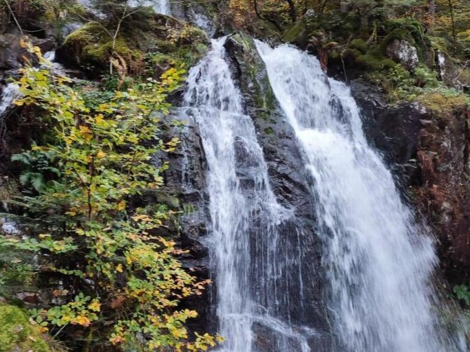 Cascade de Tendon à 12km du gîte Chez Louis