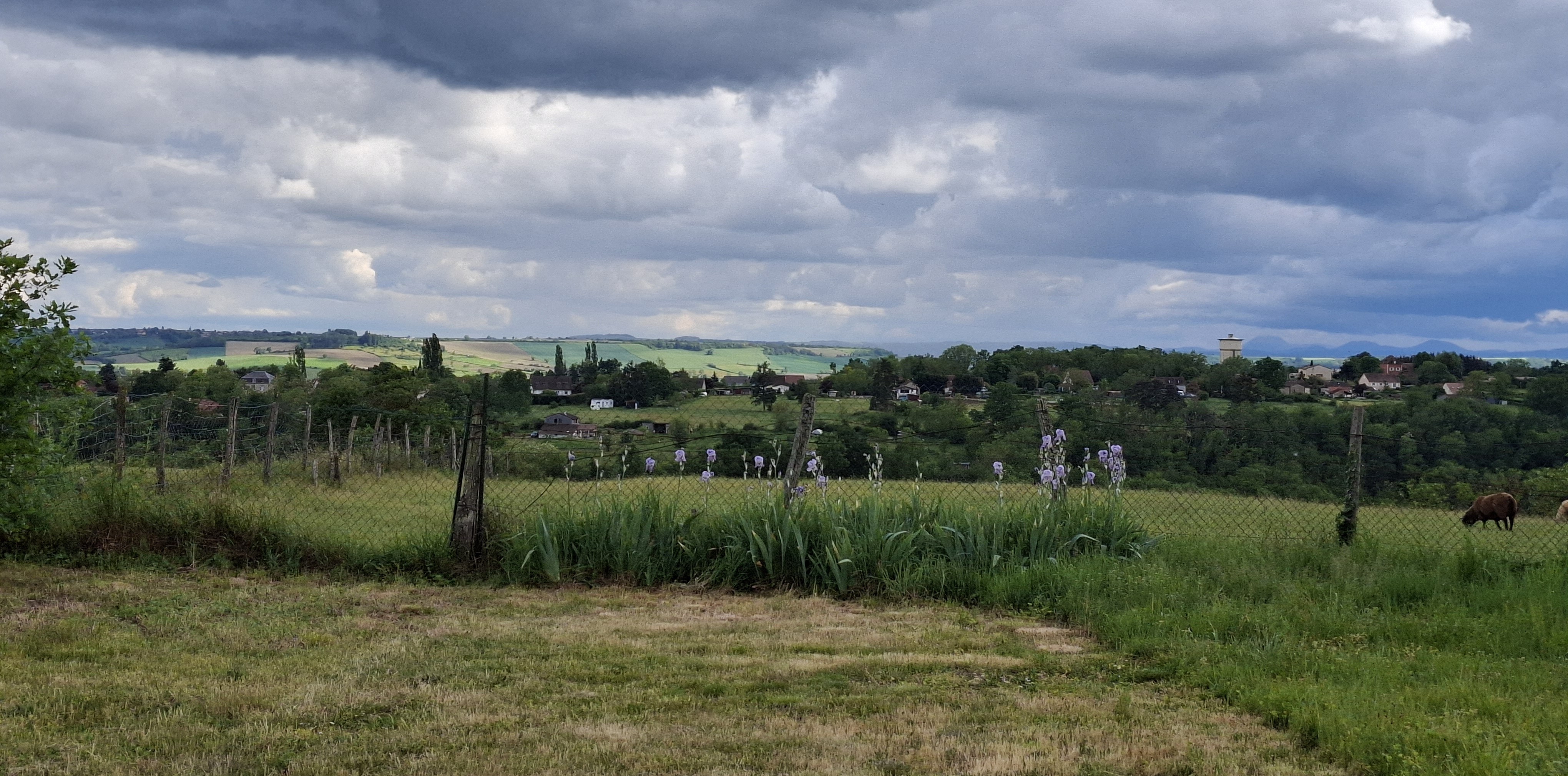 Photo n° 2 de la location