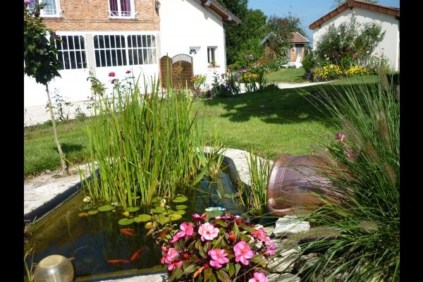 le bassin et ses poissons rouges