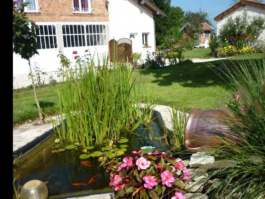 le bassin et ses poissons rouges