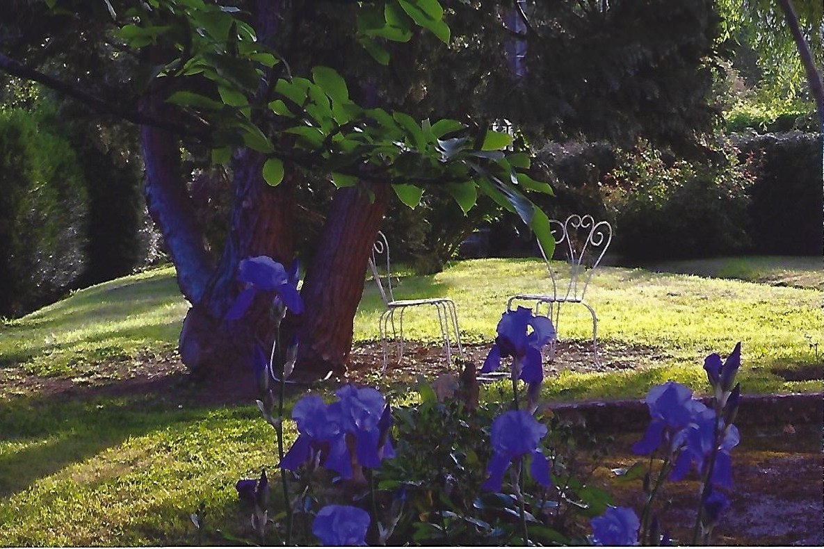 Sous l'arbre