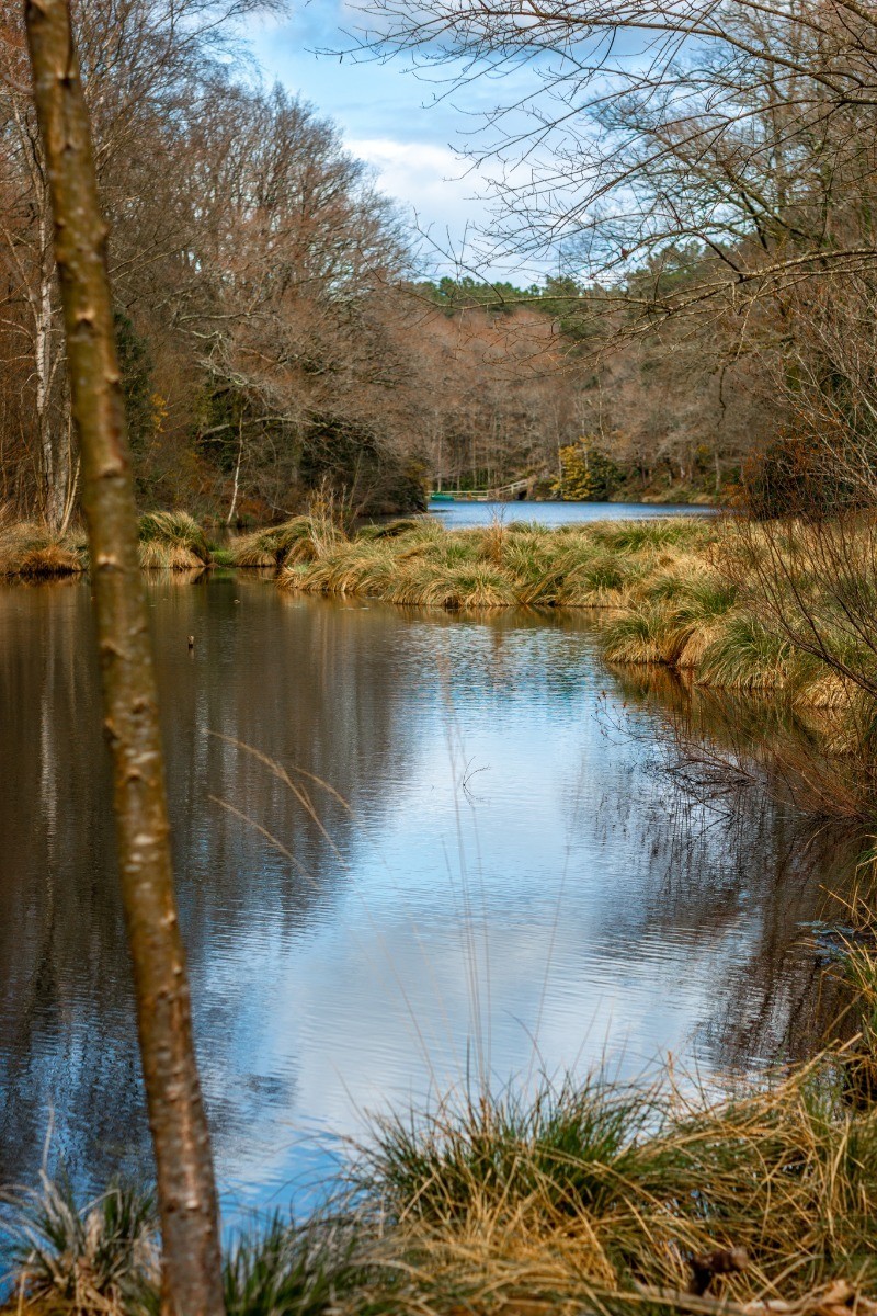 le deuxième Etang