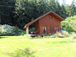 Chalet en bois tout confort aux Rouges-Eaux – Nature, jardin, randonnées Vosges