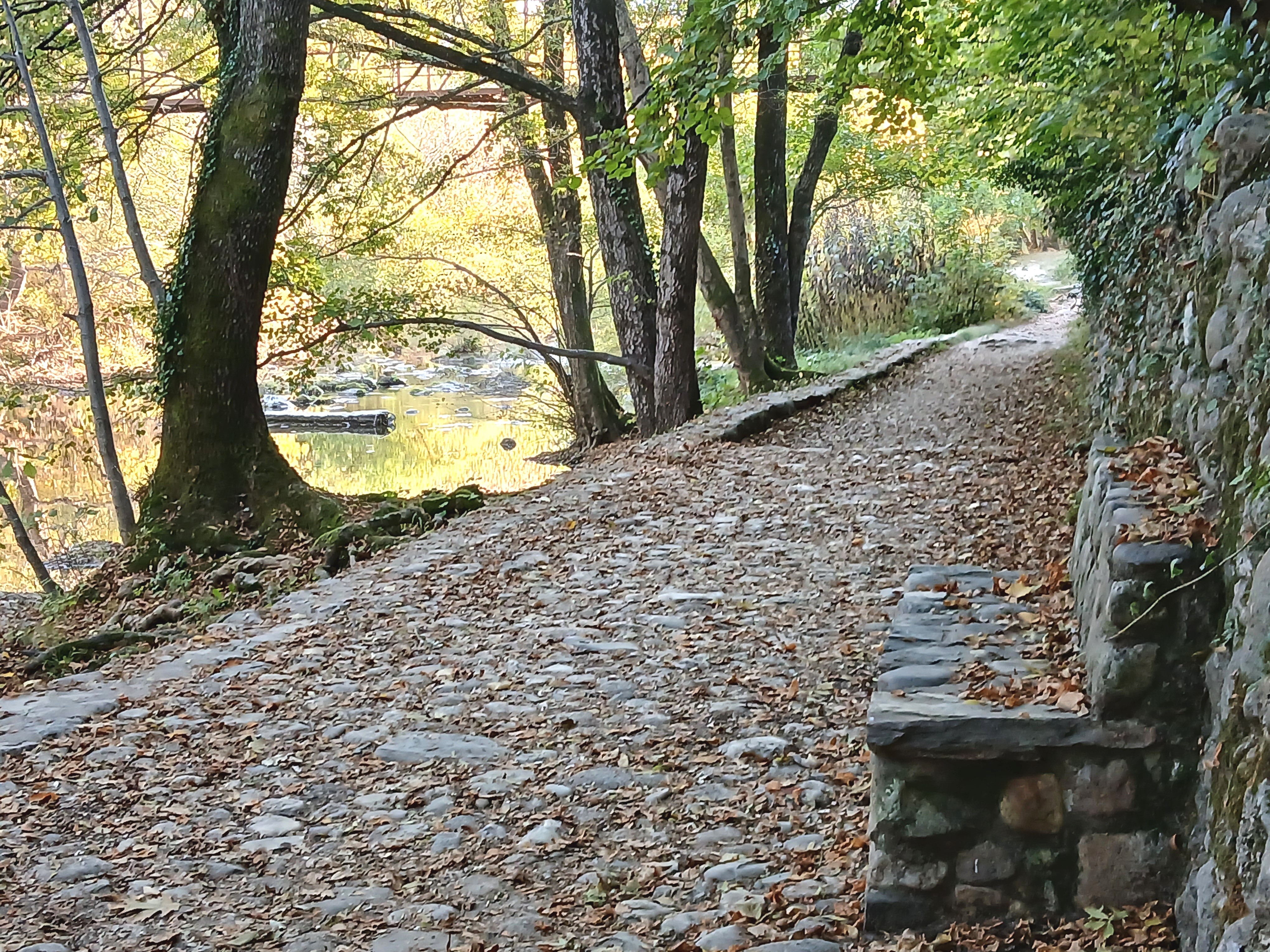 Along the river