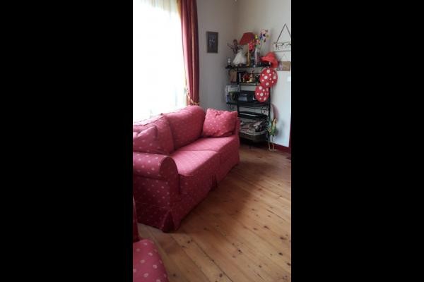 Séjour avec canapé lit si vous voulez dormir près de la cheminée