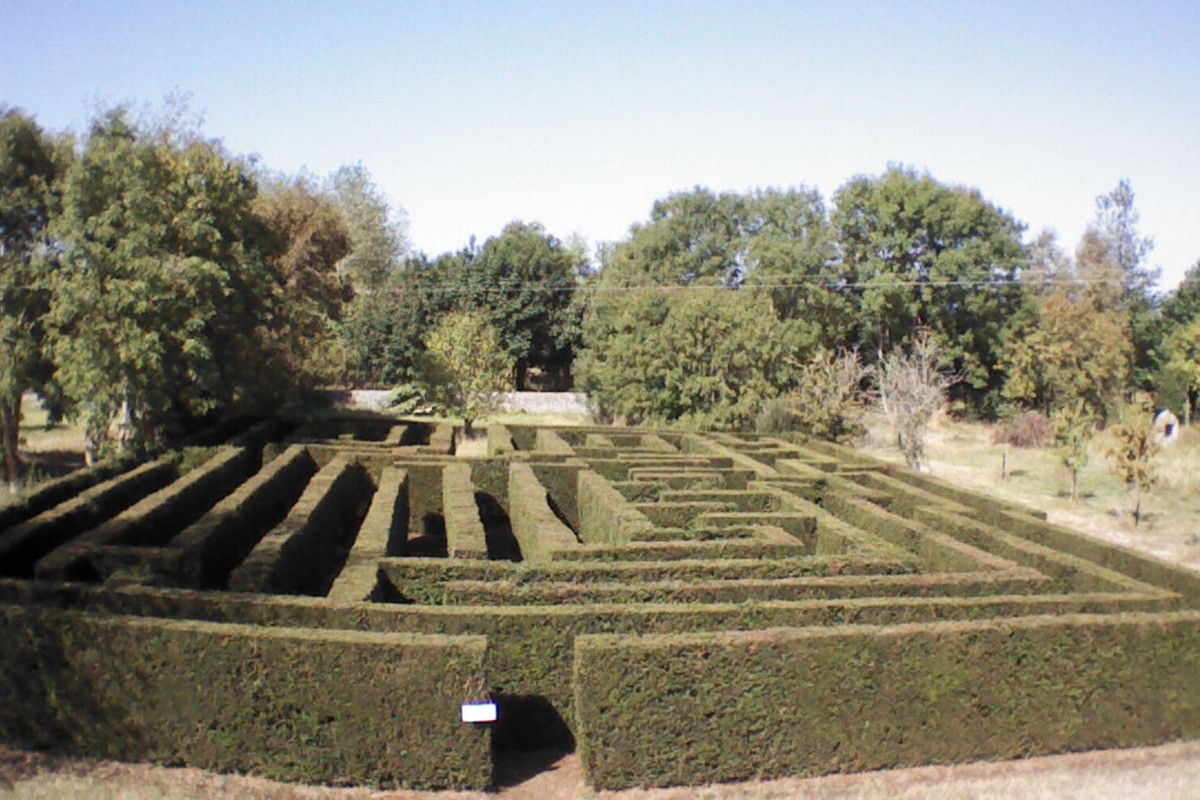 Le labyrinthe  de verdure