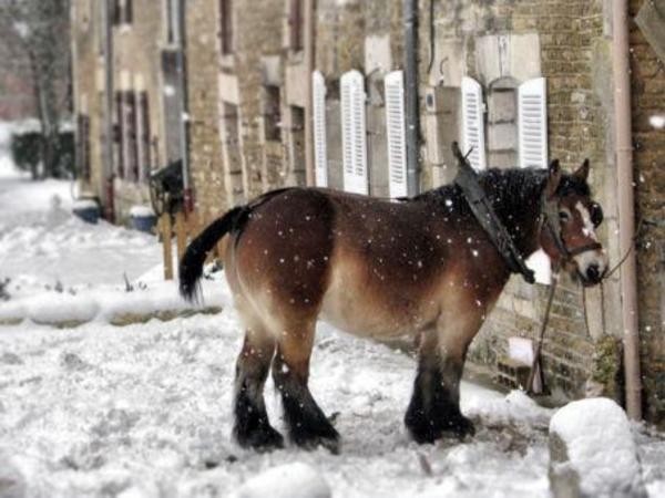 Photo n° 17 of the location