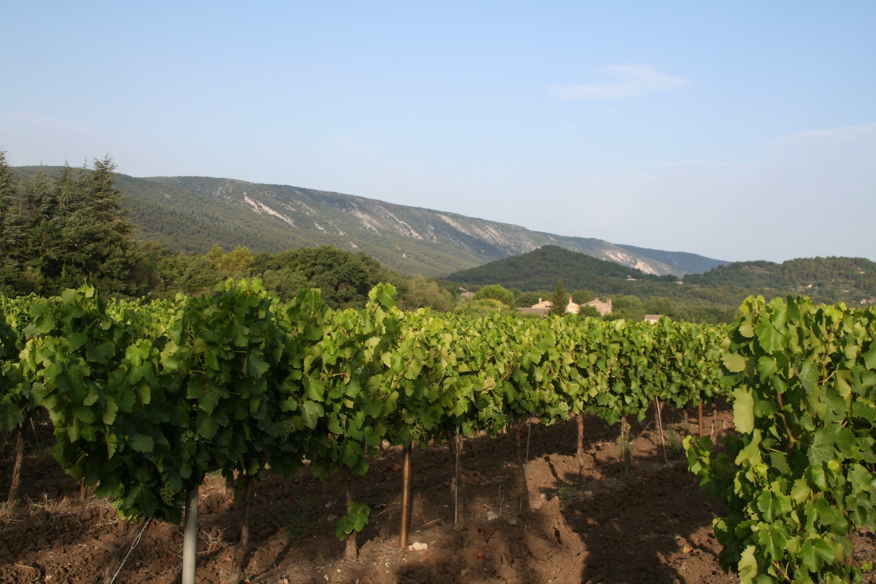 Photo n° 19 of the location