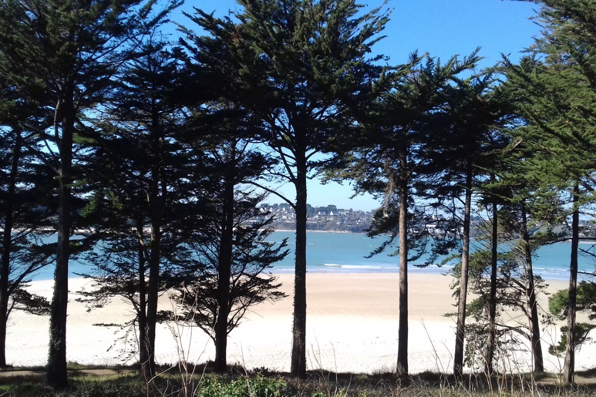 Photo n° 20 de la location