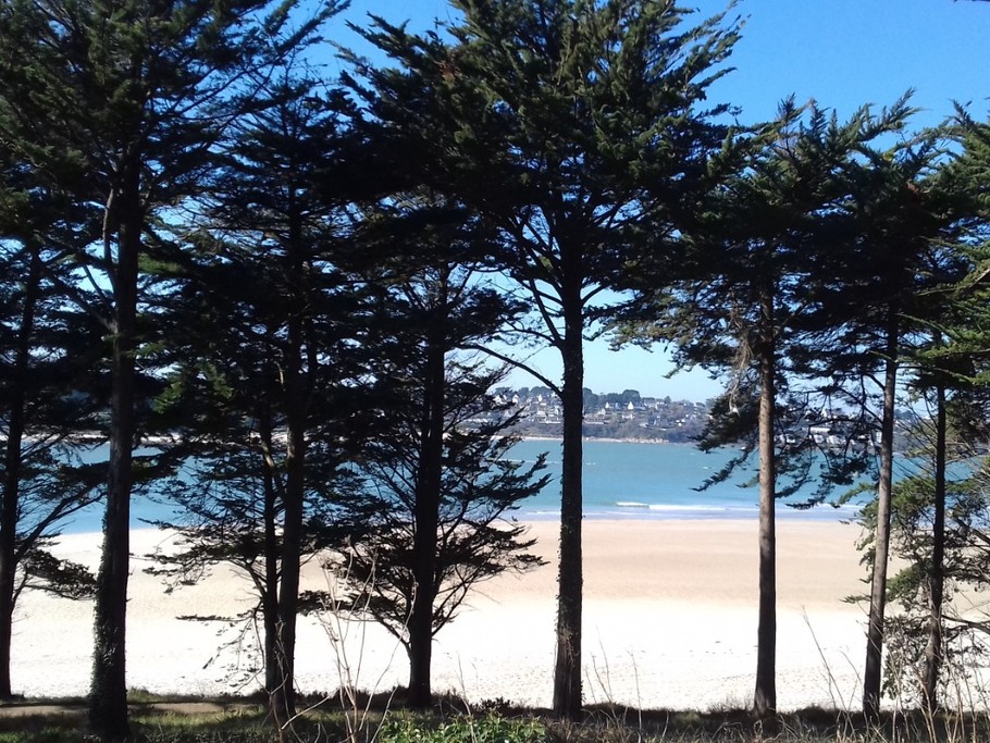 Photo n° 20 de la location