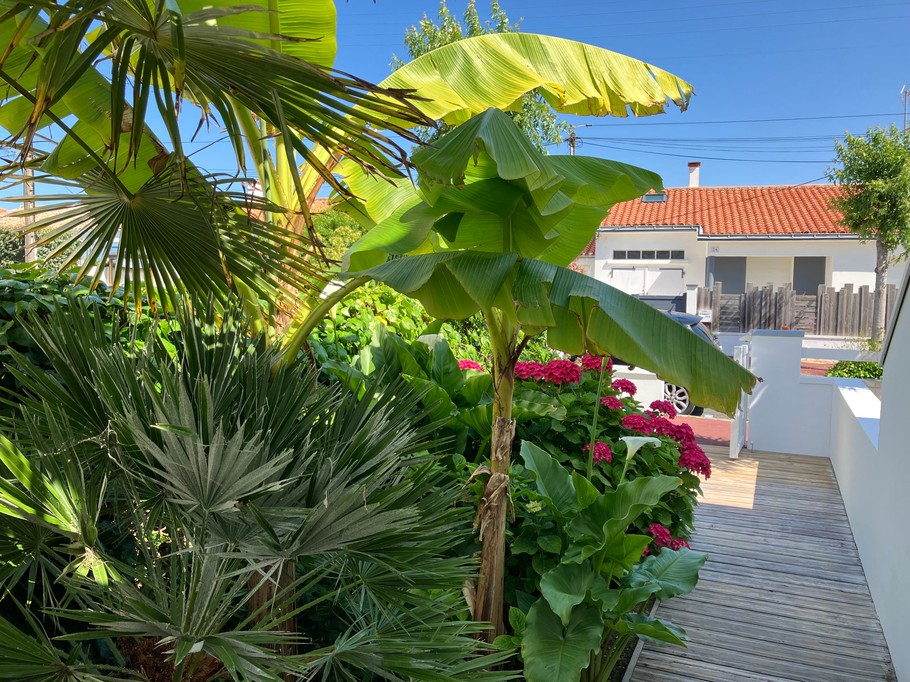 Photo n° 1 of the location