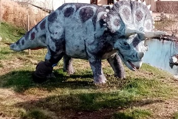 Photo n° 17 of the location