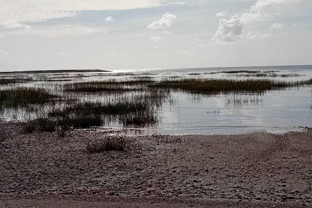 Photo n° 15 of the location