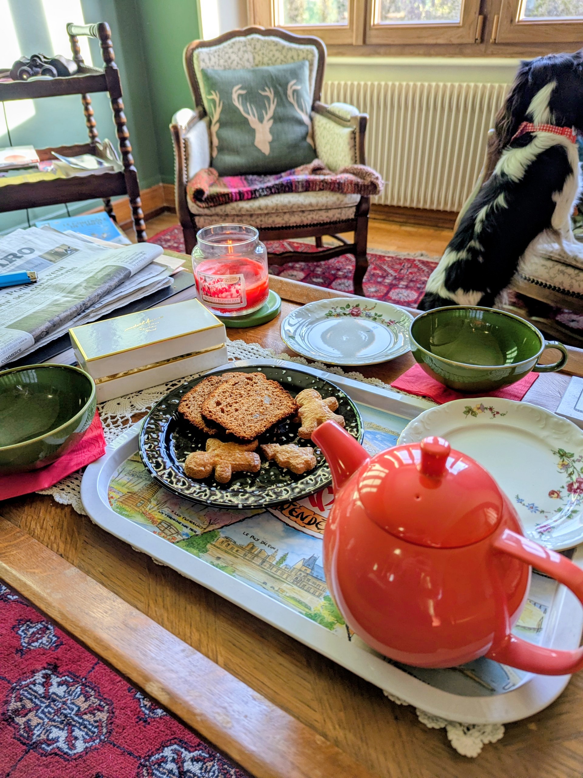 Gourmet treats