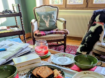 Gourmet treats
