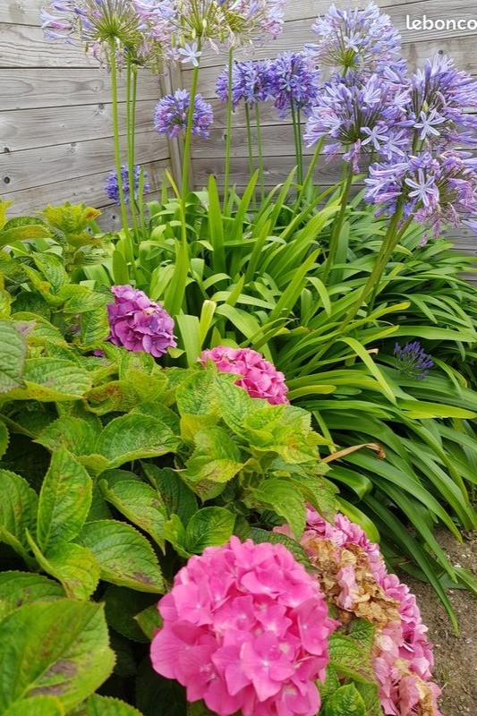 Photo n° 18 de la location