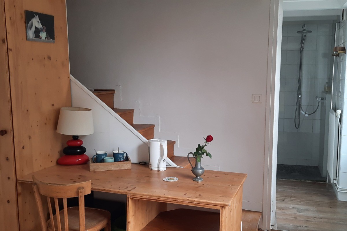 Bureau de la chambre "le Camélia"