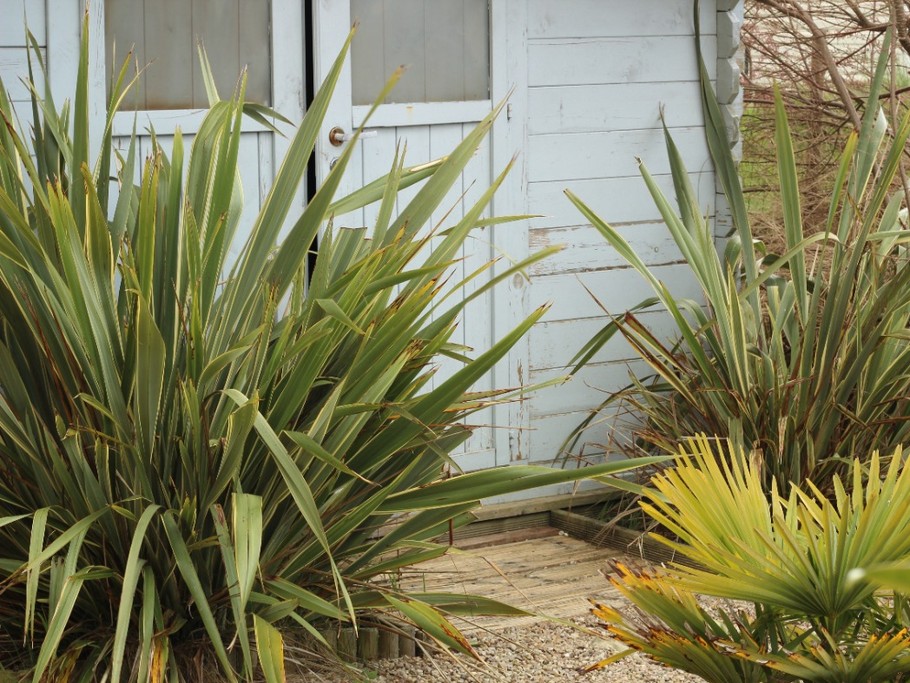 Photo n° 4 of the location