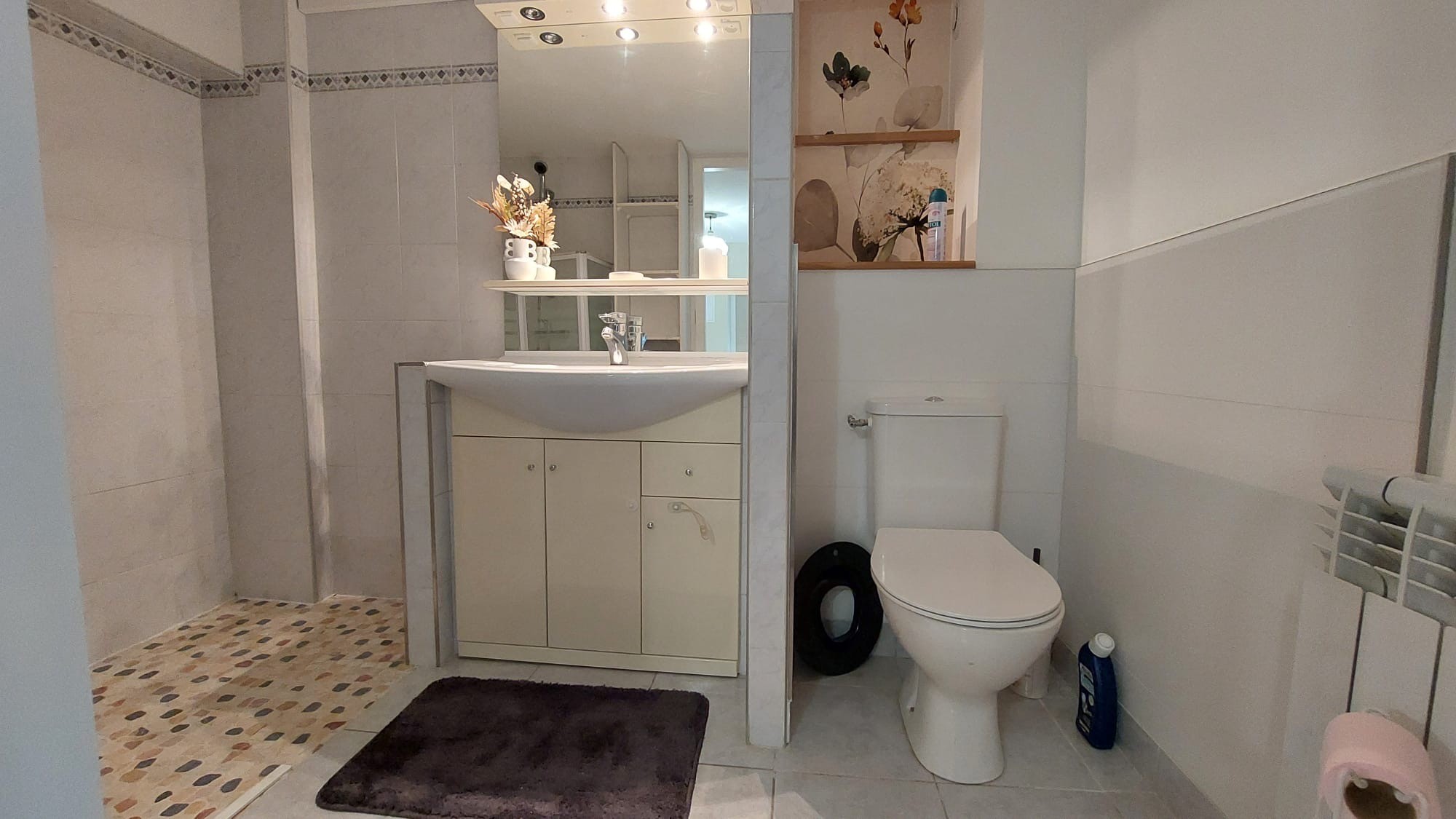 Salle d'eau et toilette rdc