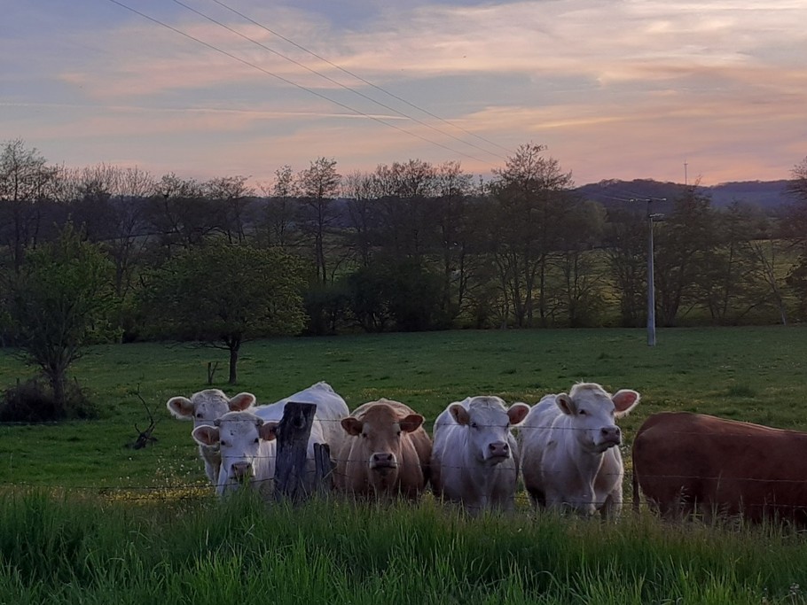 Photo n° 19 de la location