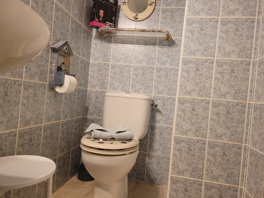 WC dans Salle d'eau chambre mouettes