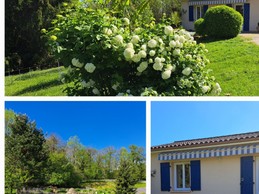 Image n° 5 de la location