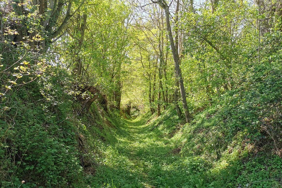 Chemin creux