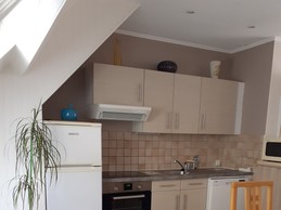 Living room and kitchen
