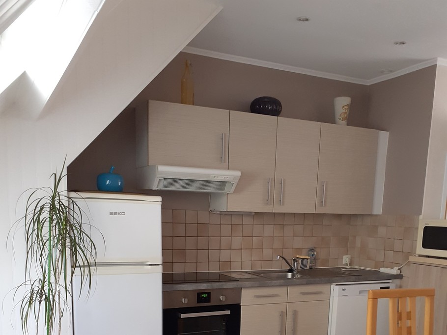 Living room and kitchen