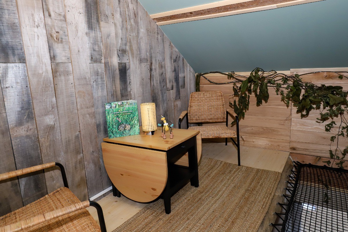 Chambre Esprit Cabane - L'Hôtel Enfoncée Chambres et Table d'hôtes Le Val d'Ajol