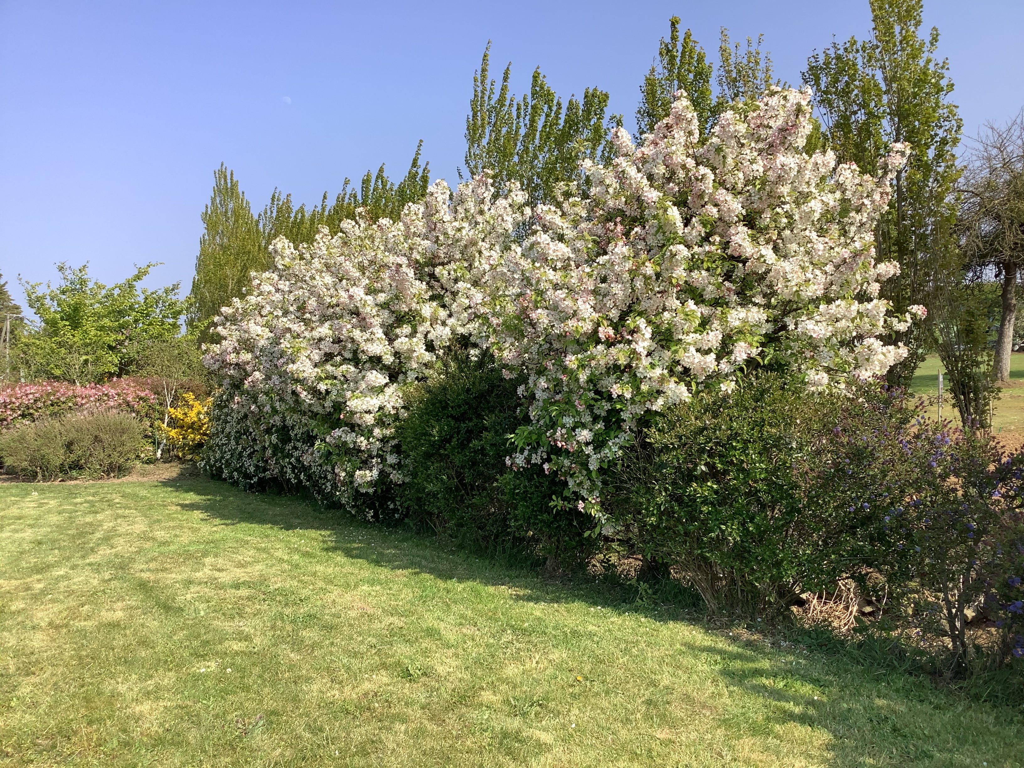 Photo n° 10 de la location