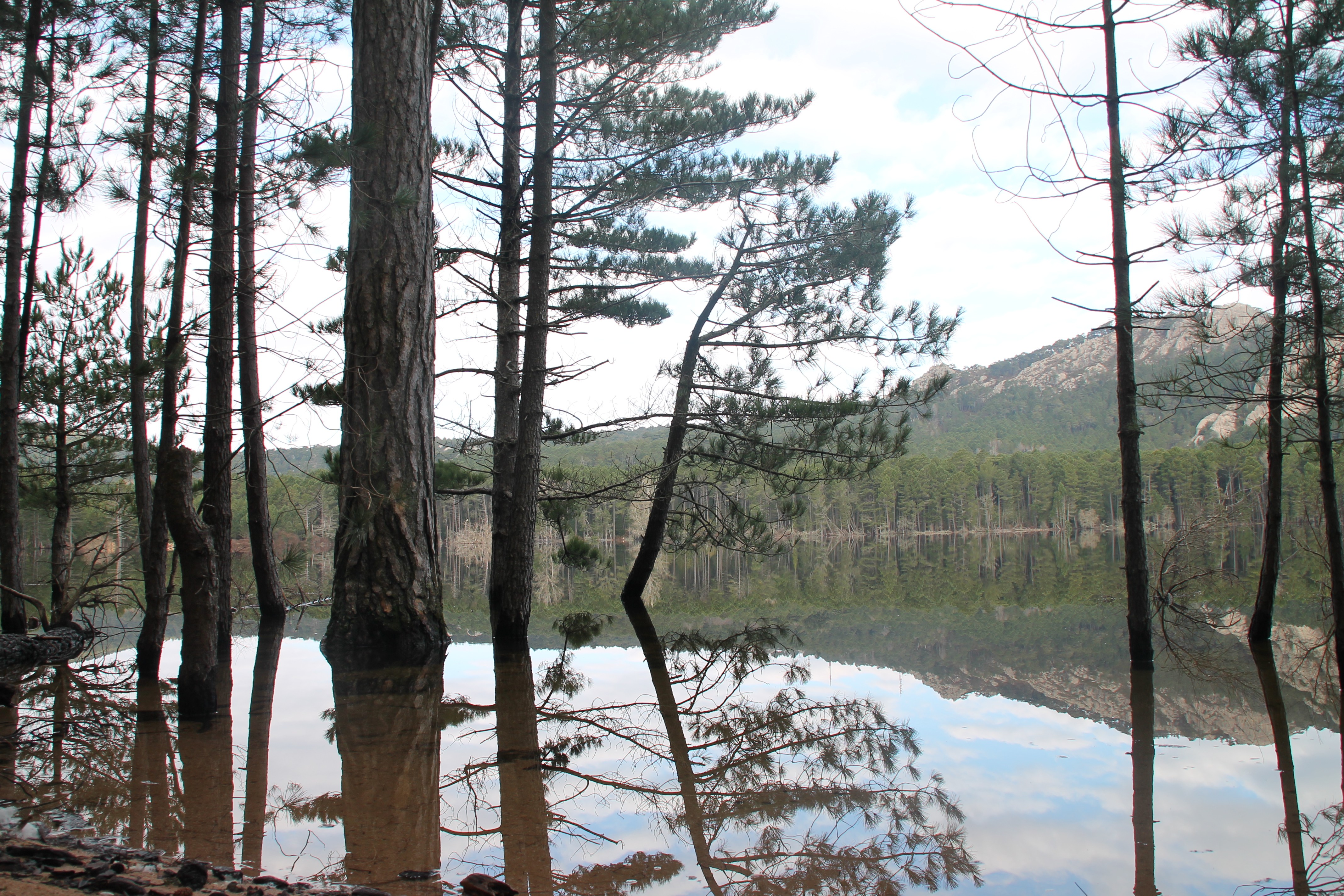 Les alentours: Le barage de L'Ospédale