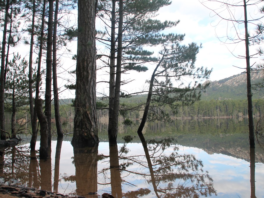 Les alentours: Le barage de L'Ospédale