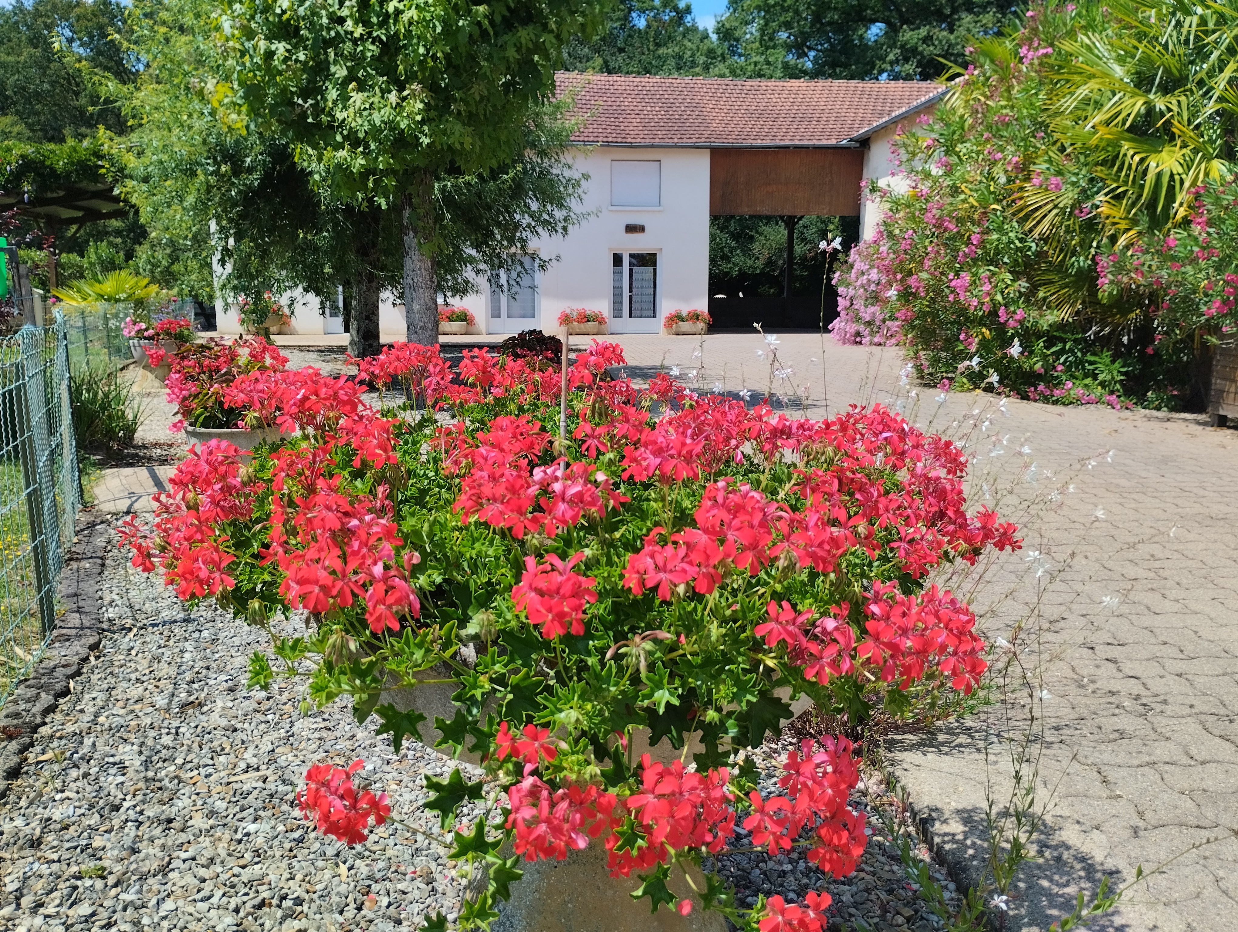 la cour devant les gîtes