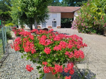 la cour devant les gîtes