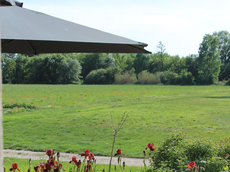 Photo n° 6 of the location