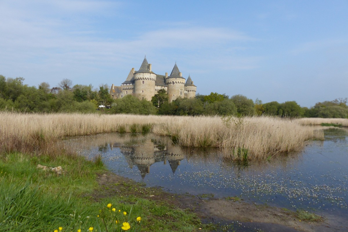 Photo n° 12 de la location
