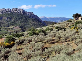 Photo n° 17 of the location