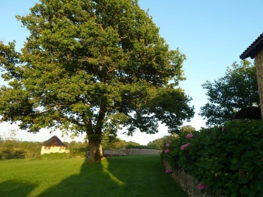 Photo n° 21 de la location