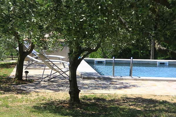 Photo n° 7 de la location